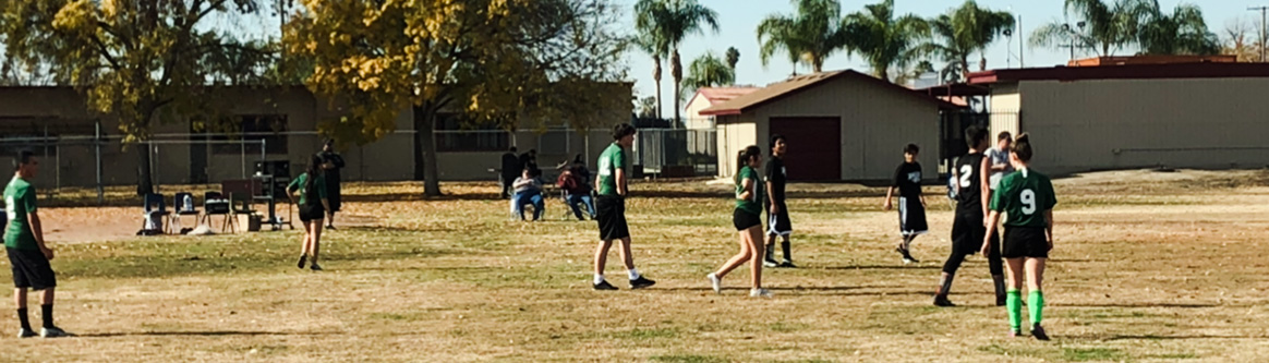 Students playing sports on a field